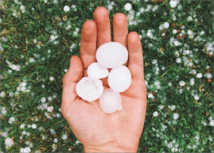 roof hail damage