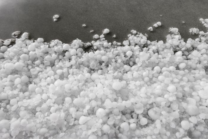 roof hail damage