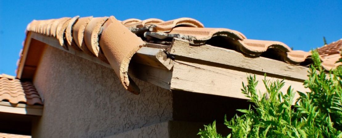roof shingles damage