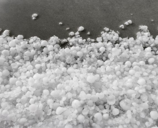 roof hail damage
