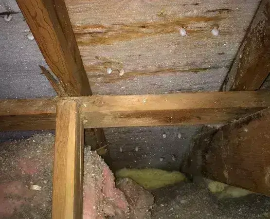 Attic Rain Ice Dam Roof Issues