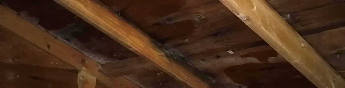 attic rain ice dam issues