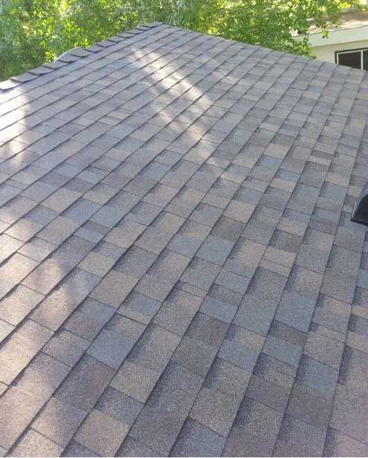 malarkey legacy shingle installed - view on part of the roof with tree